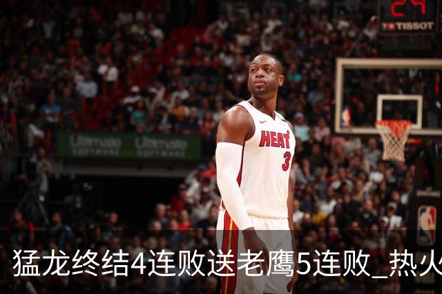 猛龙终结4连败送老鹰5连败 热火力克黄蜂